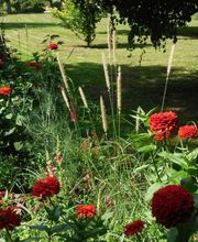 Berjamin Ets image 15