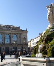 Agence immobilière Laforêt Montpellier Port Marianne image 3