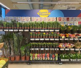 Lidl Bild 4
