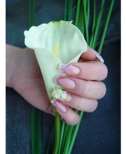 Nagelstudio Cazandra Inh. Kamm Sandra Bild 5