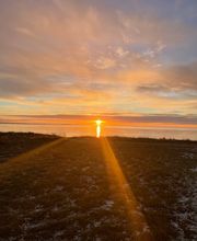 Super Hundeurlaub Bild 5