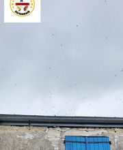 Piegeur du Marais image 11