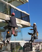 Spider Color image 4