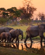 Australasia & Africa Reisen AG Bild 1