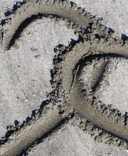 Albora-Bide Sexología imagen 1