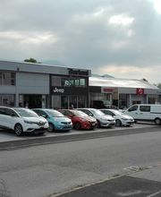 Bertoni Automobili SA Bild 1