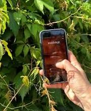 Invaphyt GmbH Bild 7