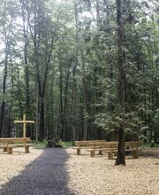 FriedWald Neuwied-Monrepos Bild 10