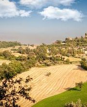 AZIENDA AGRICOLA BARTOCCIONI GIANPALMA immagine 2