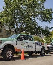 TreeTech TX image 5
