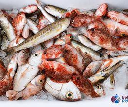 311942791-1-uaH1hlTlcx1785152577088.png