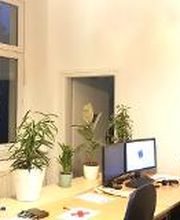 Arbeitsplatz mit 2 Bildschirmen, einem Bürostuhl, Tastatur und Maus. Dahinter mehrere Pflanzen und ein Fenster.