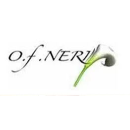 Onoranze Funebri Neri logo