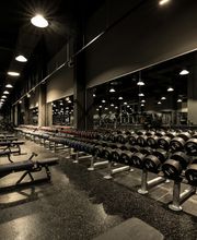 Fitness First Paderborn Kernstadt - Gewichte Training