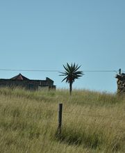 Trusted Craft Design Bild 17