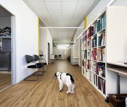 Kleintierpraxis am Bahnhof Bild 7