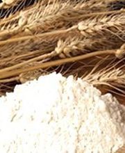 MINOTERIE LAGARDE SA image 2