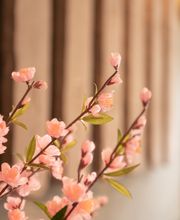 SUSHIFREUNDE Chemnitz Bild 10