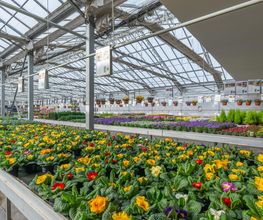 Le Carrefour De La Fleur image 3