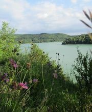 Gîte Des Hirondelles image 3