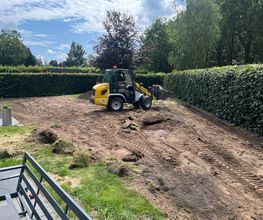 Haus-&Gartenservice Rose Bild 19