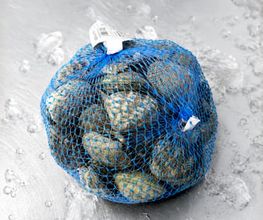 311942791-1-uaH1hlTlcx1785152571347.png