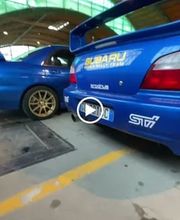 A.P.F. electronic performance immagine 13