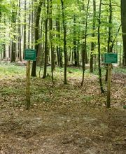 Der Infopfad erläutert die Grabarten und die Möglichkeiten der Beisetzung. 