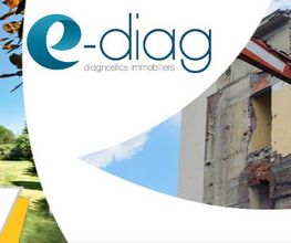 E-diag image 2