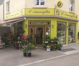 L'Amaryllis image 2