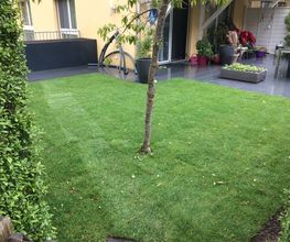 Stern Gartenbau AG Bild 9