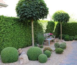 Hoxha Gartengestaltung & Pflege Bild 3