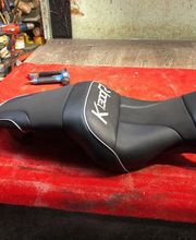 Sellerie Vigneulle image 13