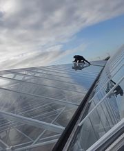 Gülez Gewächshausverglasung Bild 3