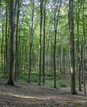 FriedWald Grevesmühlen Bild 7