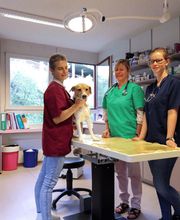 Cabinet vétérinaire Gauderon - Comment Sàrl Bild 4