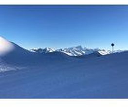 Alp Agence image 20