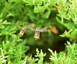 Artech Services image 10
