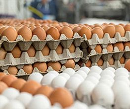 granja-la-pardilla-huevos-03.jpg