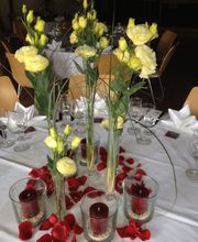 Blumen Schmutz Bild 4