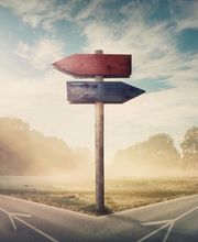 Bocage Alexandra image 1