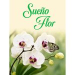 logo-floristeria.png