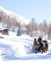 Kutschen Davos Bild 2