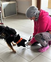 KaNi.Dogs-Olpe Mantrailing meets Fun Bild 7