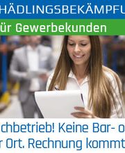 Klavier Zähringer Bild 7