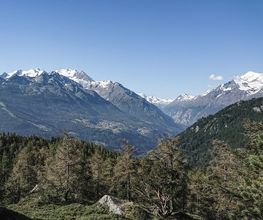 Weisshorn | Berghotel + Restaurant Bild 7