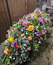 Bayer Blumen Moderne Blumengestaltung Eingang Augsburgerstr. Bild 6