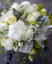 Blumenboutique Ursula Bild 3