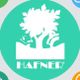 Hafner Energy from Waste Srl