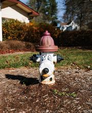 Mills River Animal Clinic image 1